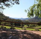 Cedar Grove - - Kalgoorlie Accommodation