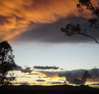 Silkwood B and B - Kalgoorlie Accommodation