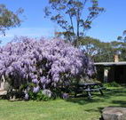 Studio Cottages - Kalgoorlie Accommodation