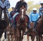 Jemby Rinjah Eco Lodge - Kalgoorlie Accommodation