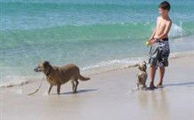 A Paradise Bungalow Waterfront - Kalgoorlie Accommodation 0