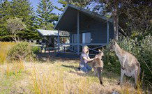 Norman Lindsay Cottage - Kalgoorlie Accommodation 9