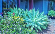 Jerrys Plains NSW Kalgoorlie Accommodation