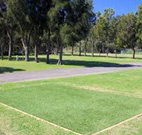 Spotted Gums on Hermitage - Kalgoorlie Accommodation