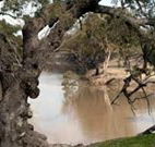 Valley View Cottage Hunter Valley - Kalgoorlie Accommodation