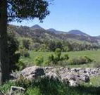 Woolshed Hill Estate - Kalgoorlie Accommodation