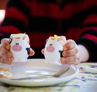 Cosy Cow Farmstay Bed and Breakfast - Kalgoorlie Accommodation