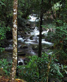 Daintree Secrets Waterfall Sanctuary - Kalgoorlie Accommodation 1