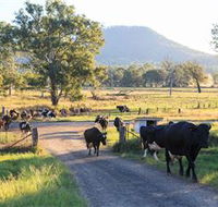 Tommerups Dairy Farmstay - Kalgoorlie Accommodation