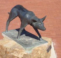 The Ardlethan Kelpie Caravan Park - Kalgoorlie Accommodation