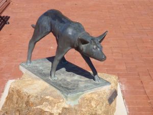 The Ardlethan Kelpie Caravan Park - Kalgoorlie Accommodation 0