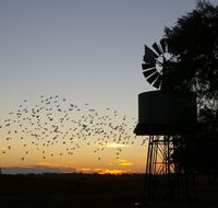 Nevertire Hotel - Kalgoorlie Accommodation
