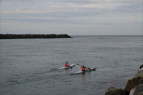 NRMA Port Macquarie Breakwall Holiday Park - Kalgoorlie Accommodation 7