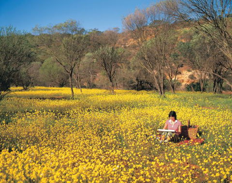 Wolfe Creek Crater Camp At Wolfe Creek Crater National Park - Kalgoorlie Accommodation 20