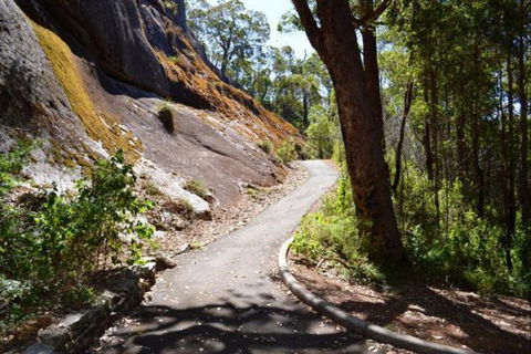 Wolfe Creek Crater Camp At Wolfe Creek Crater National Park - Kalgoorlie Accommodation 39