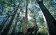 Wolfe Creek Crater Camp At Wolfe Creek Crater National Park - thumb 4