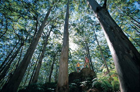 Wolfe Creek Crater Camp At Wolfe Creek Crater National Park - Kalgoorlie Accommodation 4