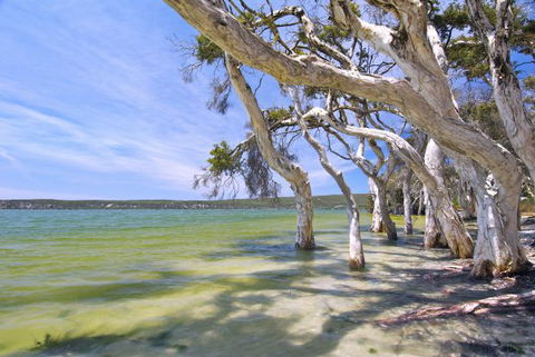 Wolfe Creek Crater Camp At Wolfe Creek Crater National Park - Kalgoorlie Accommodation 21