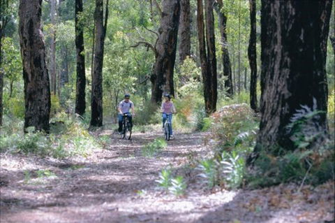 Wolfe Creek Crater Camp At Wolfe Creek Crater National Park - Kalgoorlie Accommodation 38