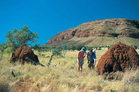 Wolfe Creek Crater Camp At Wolfe Creek Crater National Park - Kalgoorlie Accommodation 19