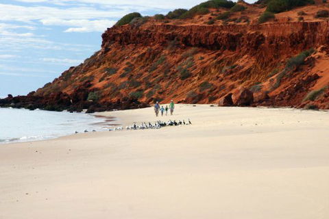 Wolfe Creek Crater Camp At Wolfe Creek Crater National Park - Kalgoorlie Accommodation 6