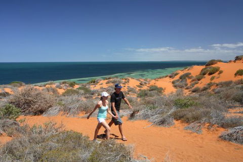 Wolfe Creek Crater Camp At Wolfe Creek Crater National Park - Kalgoorlie Accommodation 8