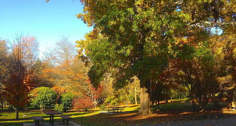 Eastern Dandenong Ranges Visitor Information Centre - Kalgoorlie Accommodation 1