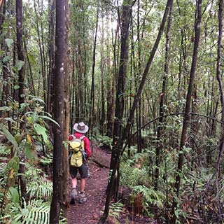 Eastern Dandenong Ranges Visitor Information Centre - Kalgoorlie Accommodation 11