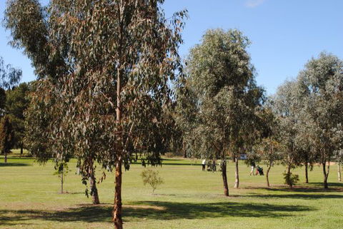 Casa Pizzini Bed And Breakfast - Kalgoorlie Accommodation 6