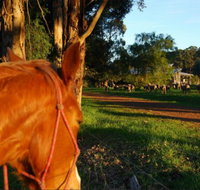 Billa Billa Farm Cottages - Kalgoorlie Accommodation