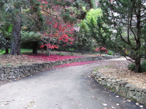 The Jungle Lodge, Blue Mountains Botanic Gardens - Kalgoorlie Accommodation 5