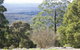 The Jungle Lodge, Blue Mountains Botanic Gardens - thumb 6