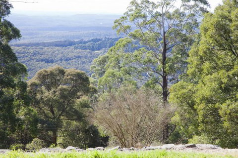 The Jungle Lodge, Blue Mountains Botanic Gardens - Kalgoorlie Accommodation 6