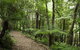 The Jungle Lodge, Blue Mountains Botanic Gardens - thumb 7