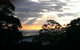 The Jungle Lodge, Blue Mountains Botanic Gardens - thumb 8