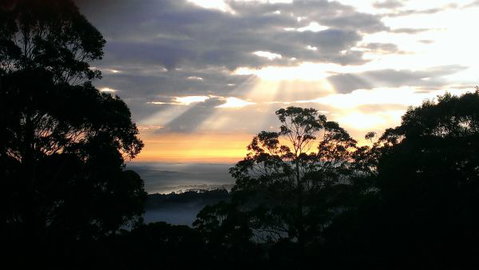 The Jungle Lodge, Blue Mountains Botanic Gardens - Kalgoorlie Accommodation 8