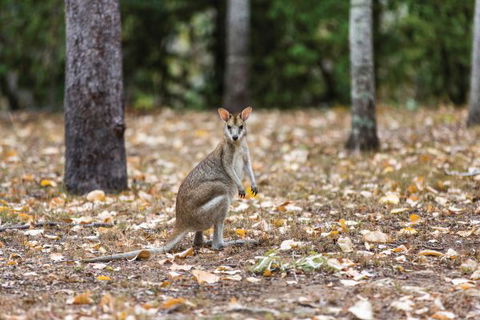 Carnarvon National Park Camping - Kalgoorlie Accommodation 2