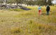 Carnarvon National Park Camping - thumb 0