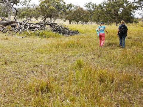 Carnarvon National Park Camping - Kalgoorlie Accommodation 0