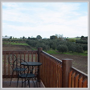 Wine Diva Tours - Kalgoorlie Accommodation 4