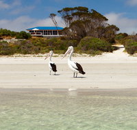 Kangaroo Island Star Beach House - Kalgoorlie Accommodation