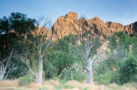 Windjana Gorge Camp At Windjana Gorge National Park - Kalgoorlie Accommodation 1