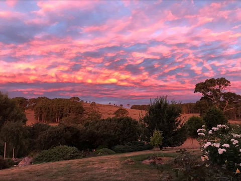 Avaleigh Elms Farmstay - Kalgoorlie Accommodation 5