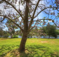 Breakaway Twin Rivers Caravan Park - Kalgoorlie Accommodation
