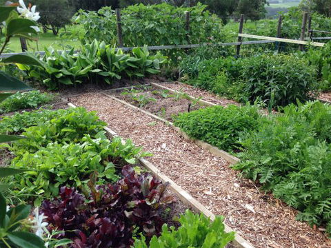 Jamberoo Valley Farm - Kalgoorlie Accommodation 3