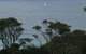 Narooma Top Spot - thumb 1