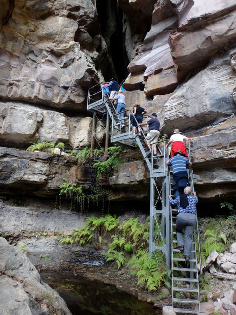 Takarakka Bush Resort Carnarvon Gorge - Kalgoorlie Accommodation 0