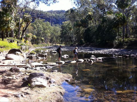 Takarakka Bush Resort Carnarvon Gorge - Kalgoorlie Accommodation 9