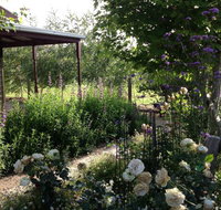 Wandana Bed and Breakfast - Kalgoorlie Accommodation
