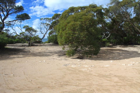 Acraman Creek Conservation Park Campgrounds - Kalgoorlie Accommodation 0